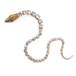 Serpent Crystal Spine Clip
